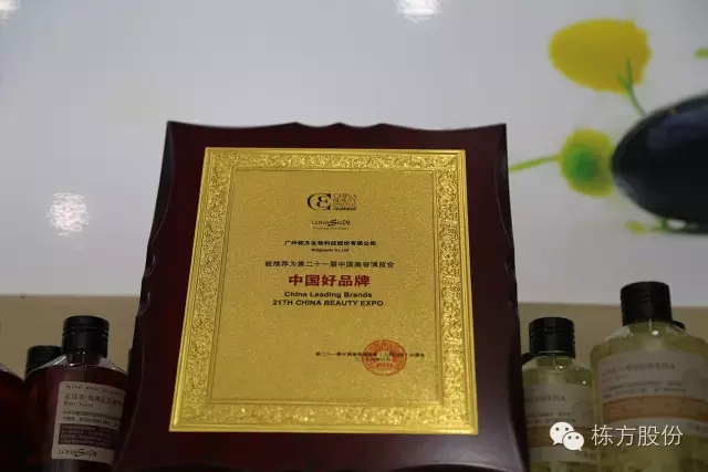 科技引領(lǐng)美麗▏棟方股份榮獲“中國(guó)好品牌獎(jiǎng)”！
